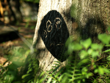Shadow of an alien sculpture on the trunk of an oak tree with ferns in the foreground