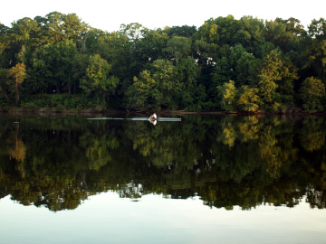 A person on a rowing shell in the early morning gliding along a mirror-smooth river reflected along with the trees on the opposite bank